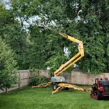 Best Hazardous Tree Removal  in Beattyville, KY